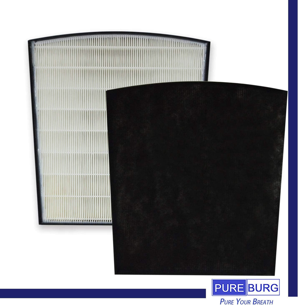 HEPA Filter Set with Activated Carbon F261696