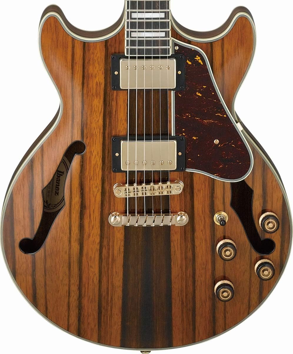 Macassar Ebony Semi-Hollow Body Electric Guitar C5291