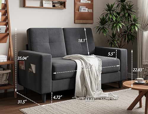 Brown 53" 2 Seater Loveseat Sofa Z822935