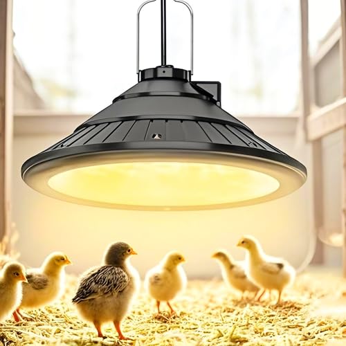 3000K Warm LED Hanging Ceiling Pendant Light with Timer Q3493