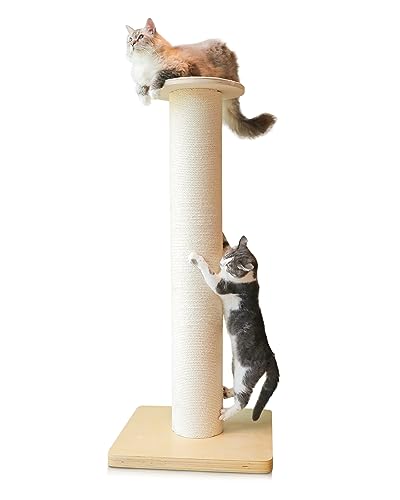 50" Tall Cat Scratching Post, 7.3" Thick Post, Solid Wood Base & Natural Sisal Rope Y27858