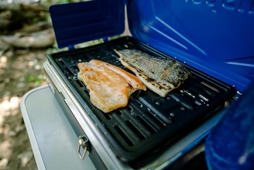Propane Outdoor Camping Stove A8265