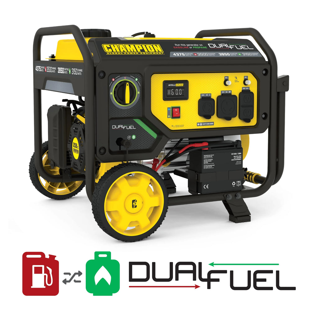 3500-Watt Dual Fuel Portable Generator with Electric Start R481