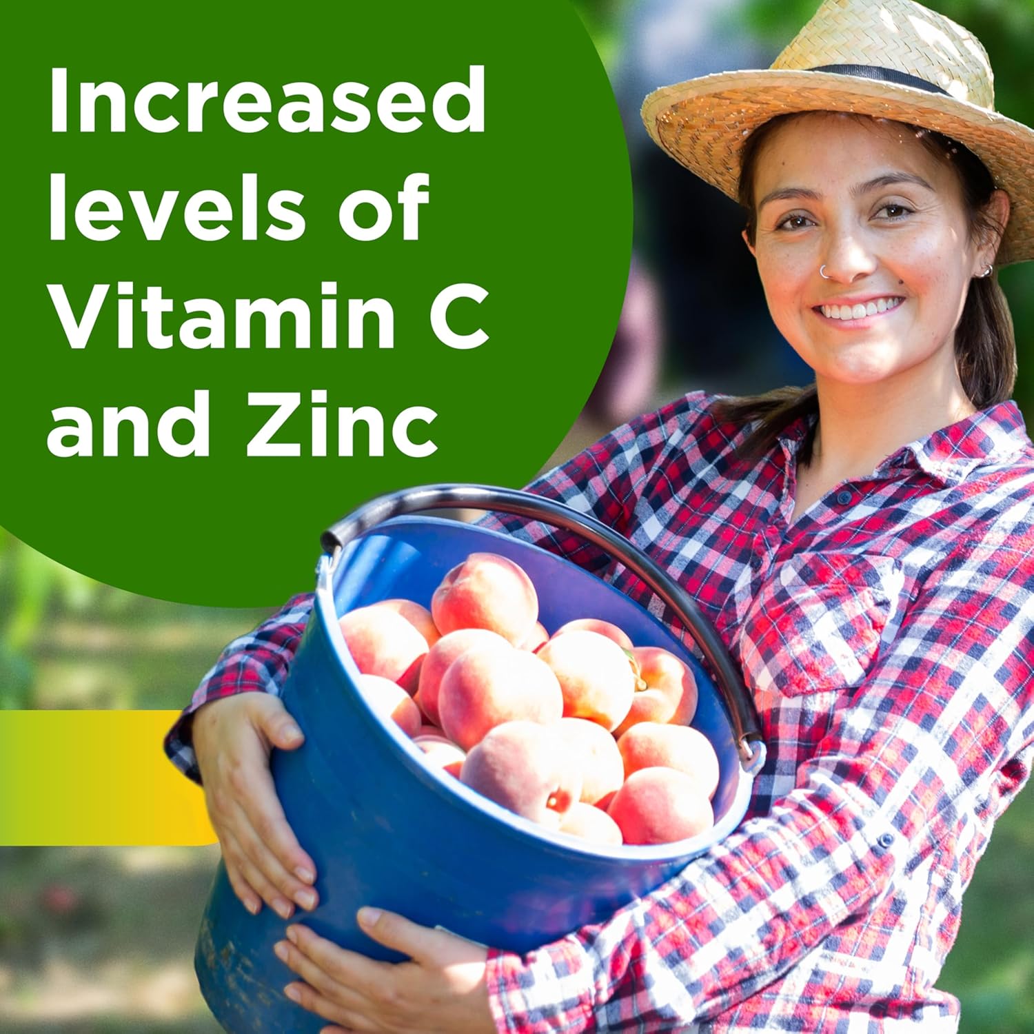 200 Count Adult Multivitamin Supplement with Zinc, Vitamin D3, B Vitamins S85919