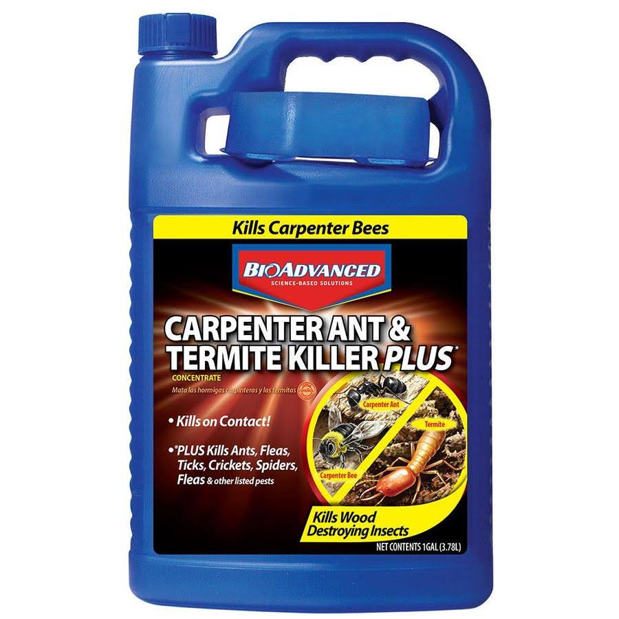 1 gal. Concentrate Carpenter Ant and Termite Killer Z753