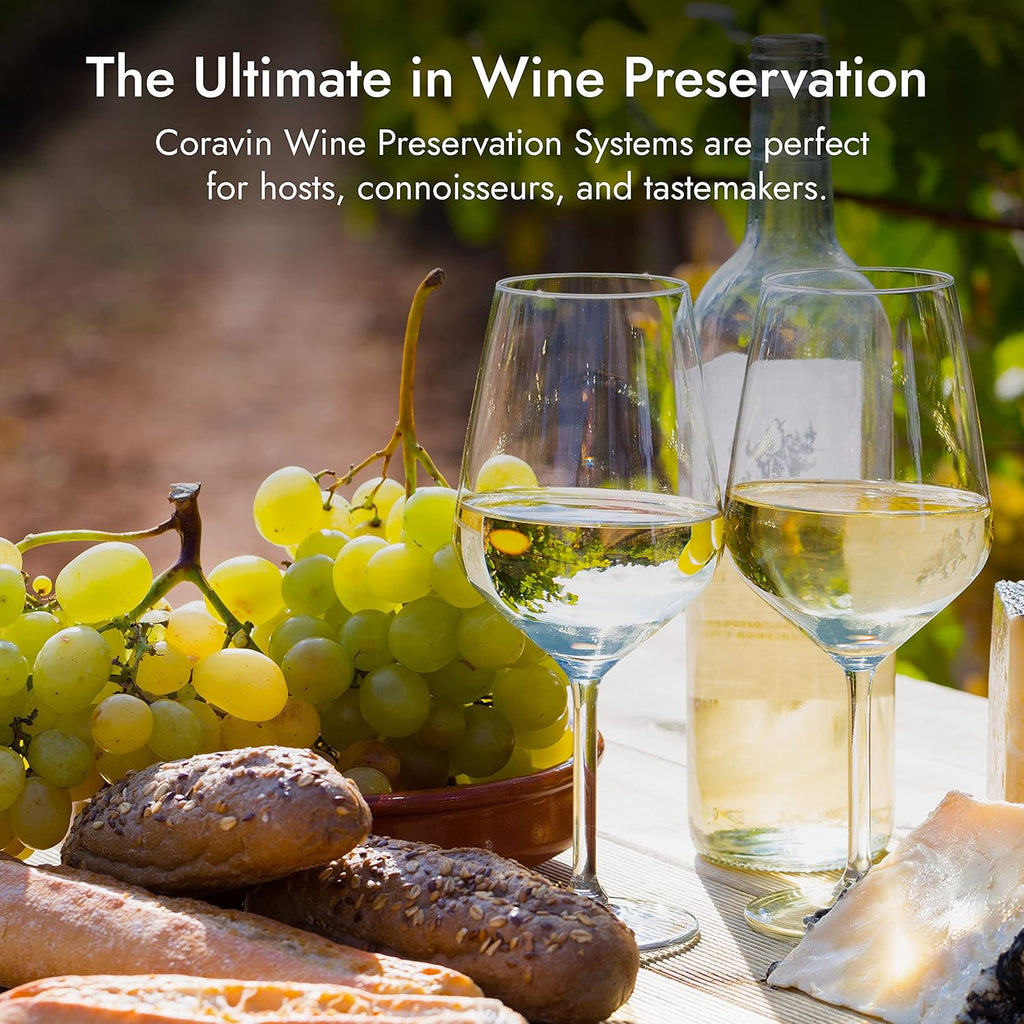 Wine Bottle Opener and Preservation System, Includes 2 Argon Capsules T508898