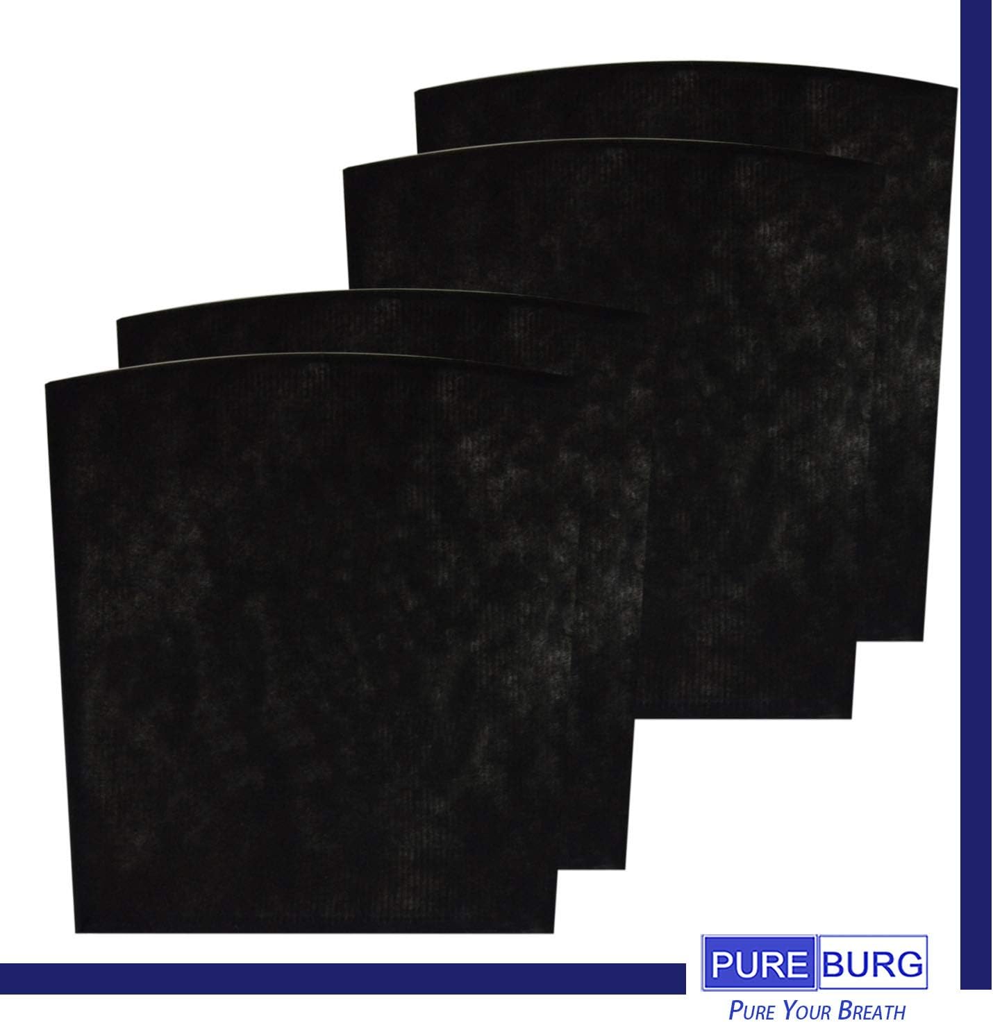 HEPA Filter Set with Activated Carbon F261696