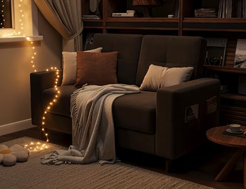 Brown 53" 2 Seater Loveseat Sofa Z822935