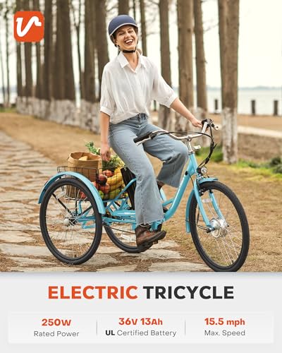 24 inch 250W Electric Tricycle with 468Wh Removable Battery H8256