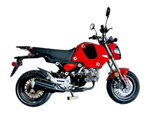 125cc Gas-Powered Street Motorcycle A4933