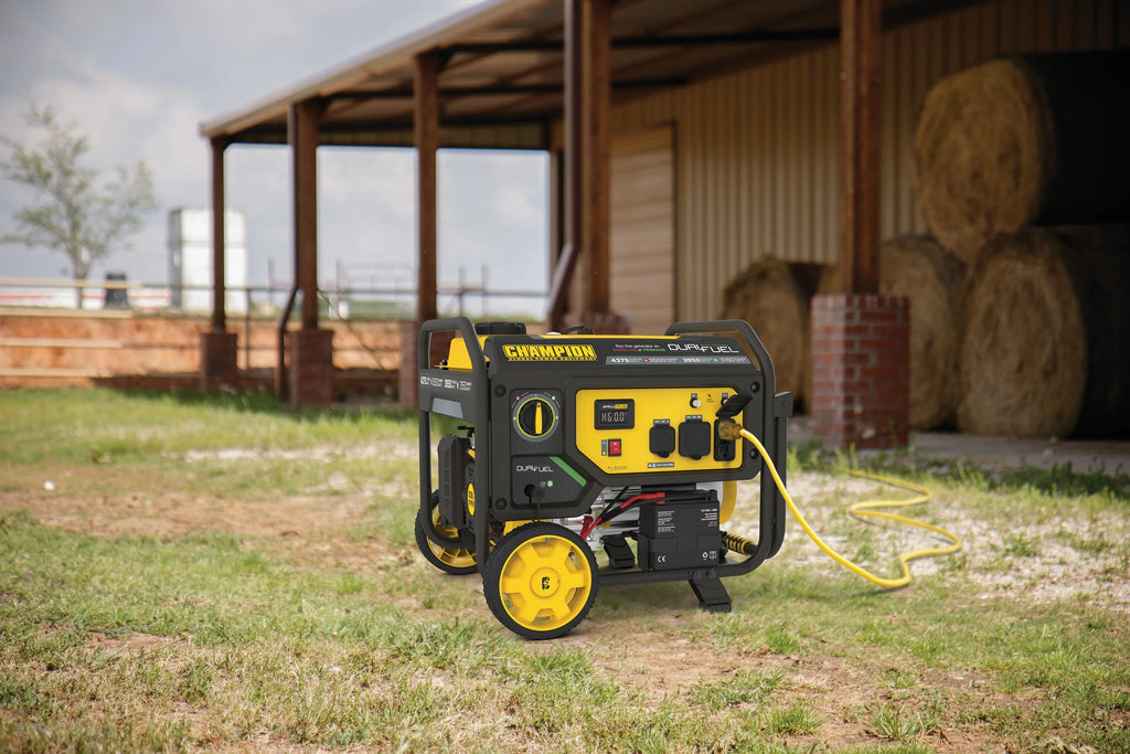 3500-Watt Dual Fuel Portable Generator with Electric Start R481