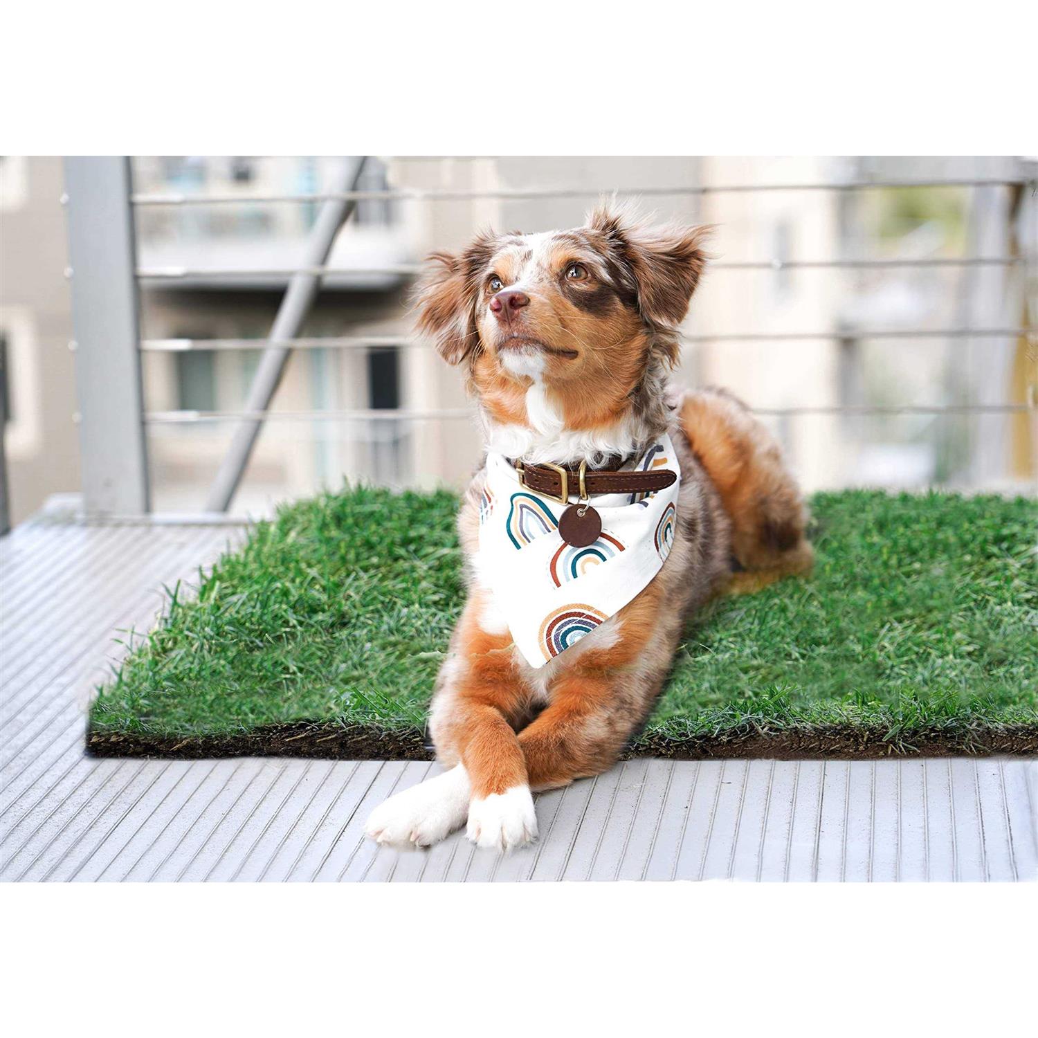 Real Grass Dog Potty H143275
