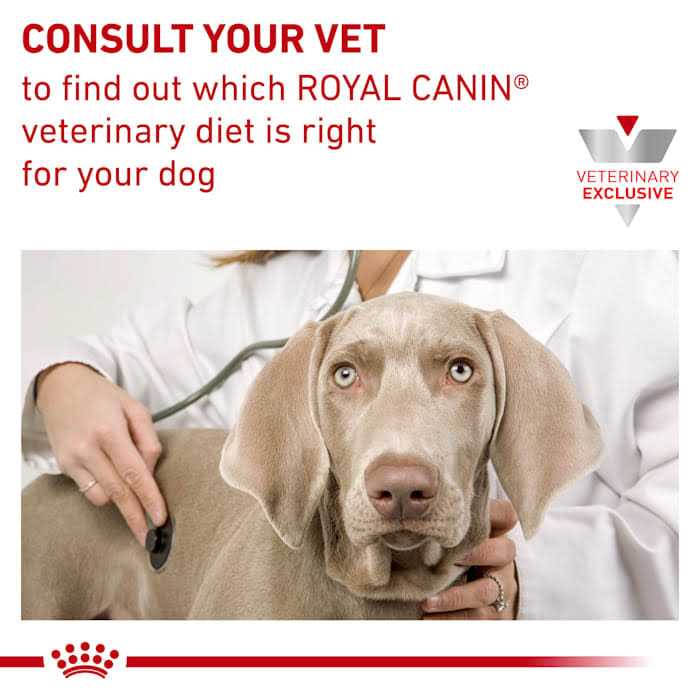 Hydrolyzed Protein Dry Dog Food H7939
